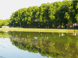 Das Ufer spiegelt sich im Adour bei Aire sur l'Adour